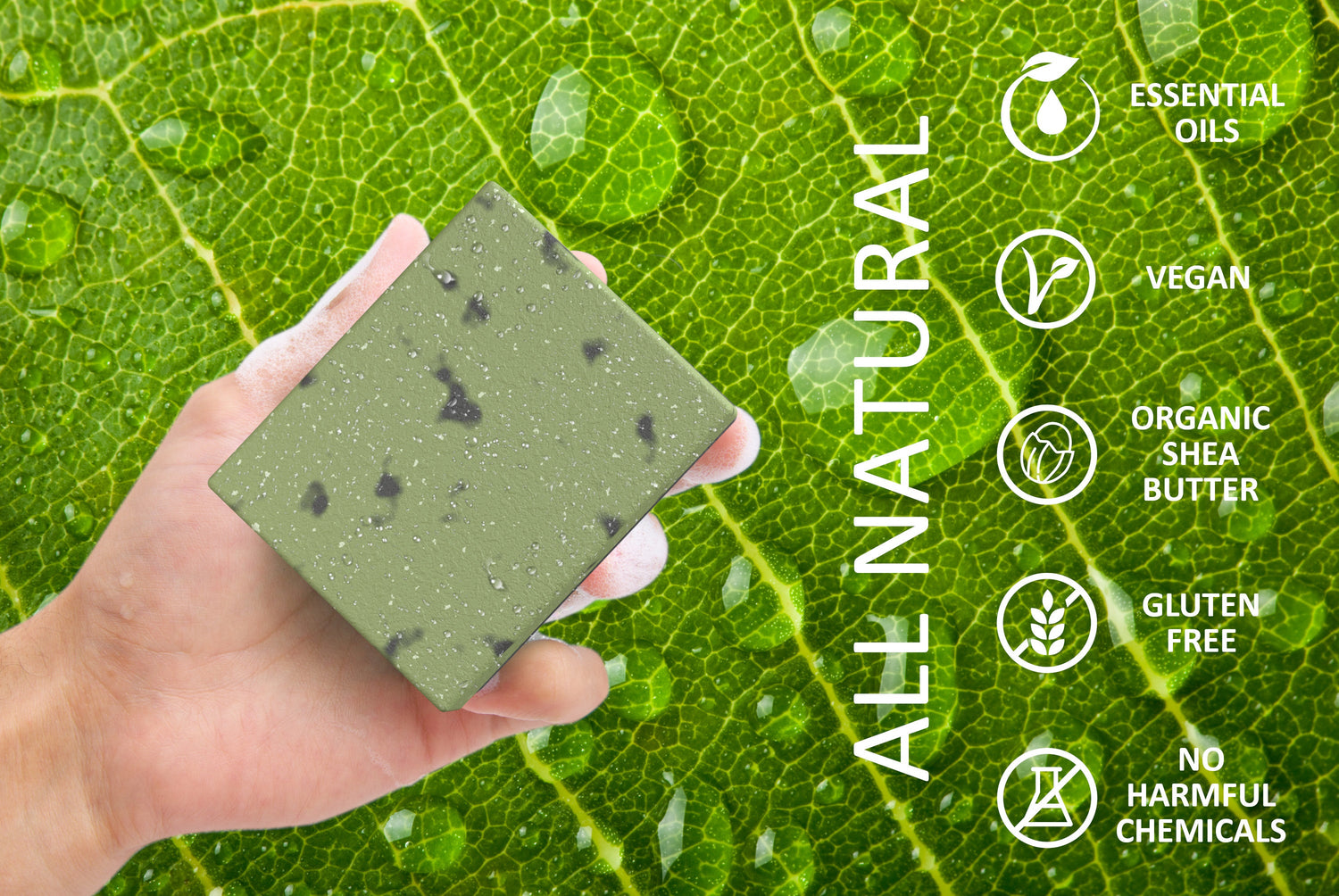 ELEMENTS EUCALYPTUS ALOE - Bar Soap