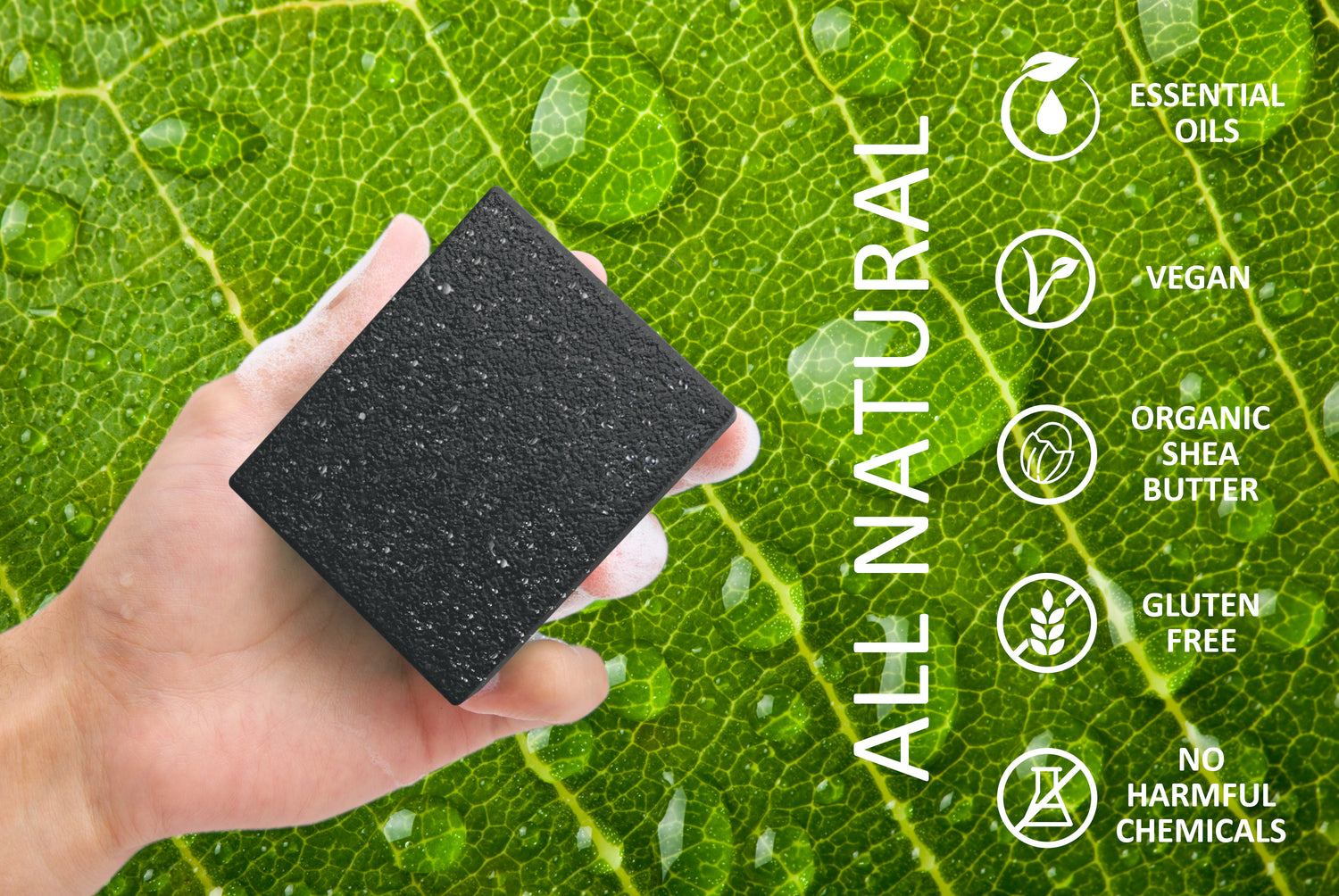 ELEMENTS CHARCOAL PINE- Bar soap